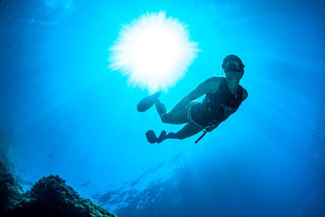Snorkeling with Marine Biologist Expert from Sorrento - Is $115.24 a fair price?