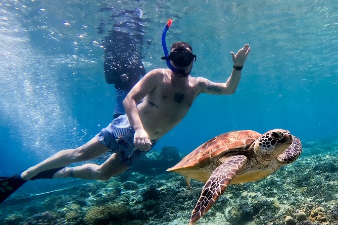 Snorkeling with turtle and statue in Gilis - Island visits can extend the day
