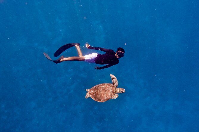 Snorkeling with turtle and statue in Gilis - Is $55 good value?