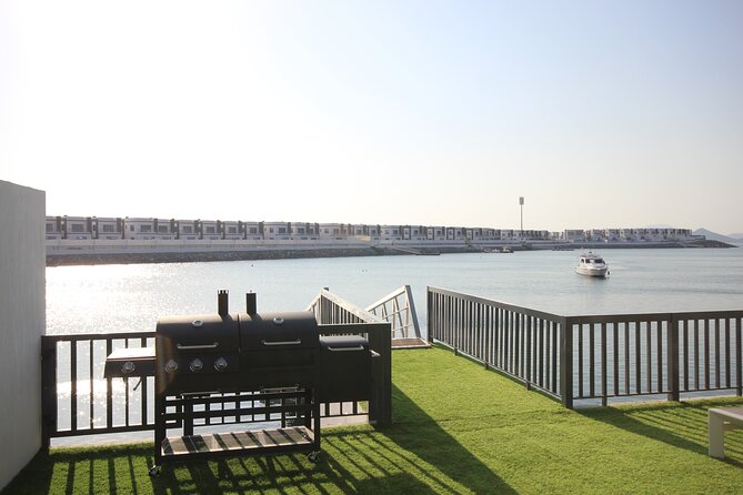 Snorkeling with turtles in Fujairah with BBQ lunch - Sharm Rocks and the value of a second site