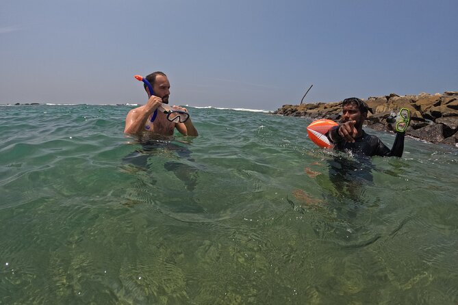 Snorkeling with Turtles in Mirissa - Swimming with turtles without rushing them
