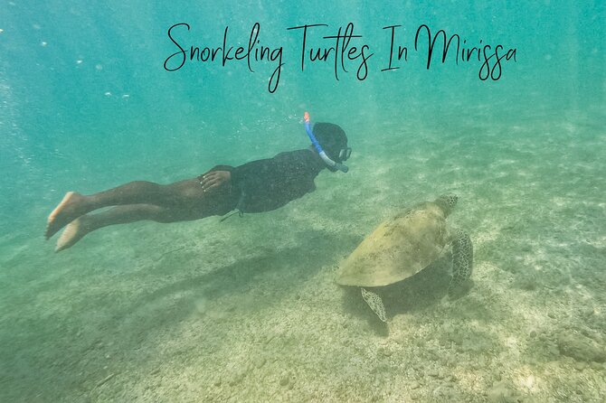 Snorkeling with Turtles in Mirissa - Getting ready with the supplied equipment