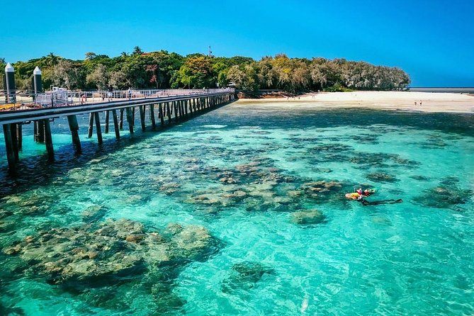 Snorkelling and Glass Bottom Boat at Green Island from Cairns - The 45-Minute Catamaran Ride From Cairns