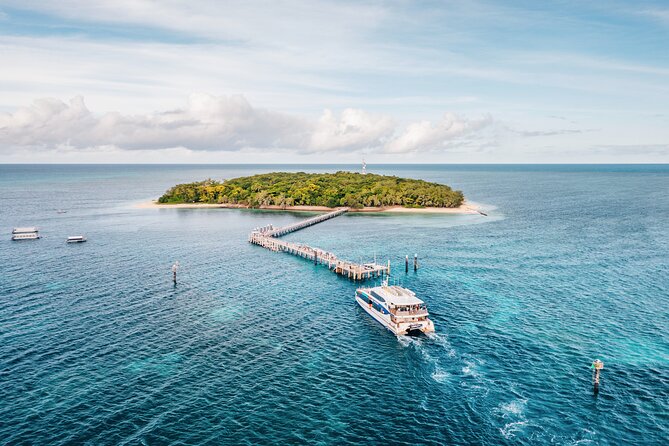 Snorkelling and Glass Bottom Boat at Green Island from Cairns - Walking the Rainforest and Finding Your Own Pace