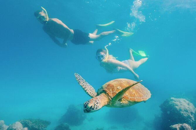 Snorkelling and Glass Bottom Boat at Green Island from Cairns - How Much Time Should You Choose?
