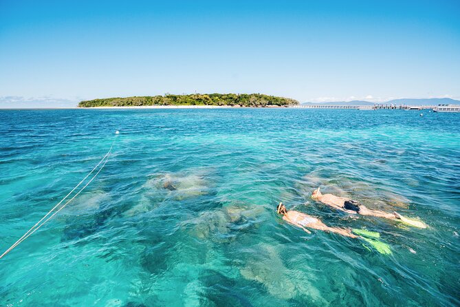 Snorkelling and Glass Bottom Boat at Green Island from Cairns - Who Will Enjoy This Green Island Day?