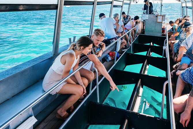 Snorkelling and Glass Bottom Boat at Green Island from Cairns - The Glass-Bottom Boat Is the Best Backup Plan