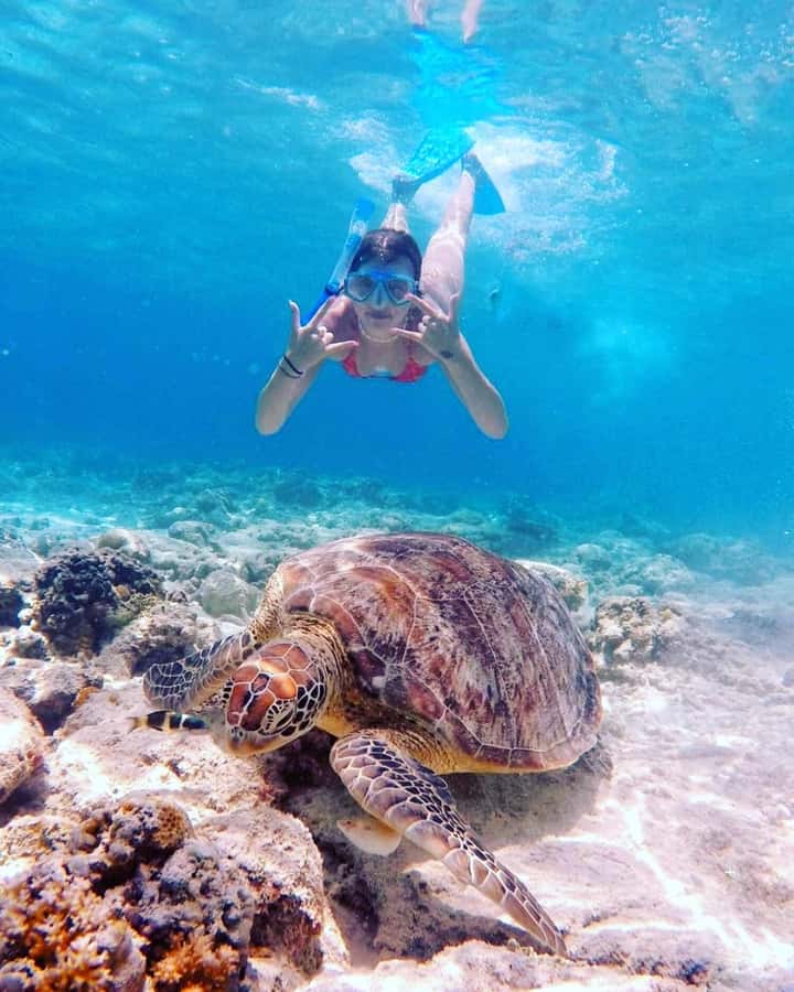 Snorkelling Gili Trawangan, Gili Air & Gili Meno from Lombok - What the guides add to the day