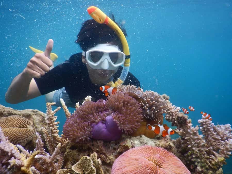 Snorkelling & islandhopping tour Karimunjawa (sharing tour) - First island stop and a proper beach lunch