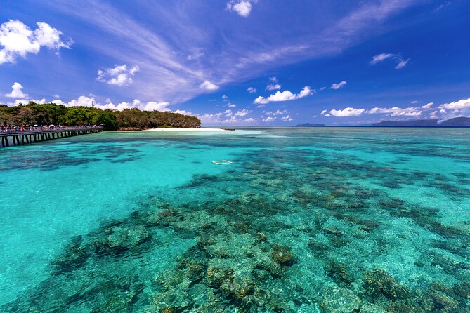 Snorkelling or Glass Bottom Boat at Green Island from Cairns - Food, comfort, and small practical details