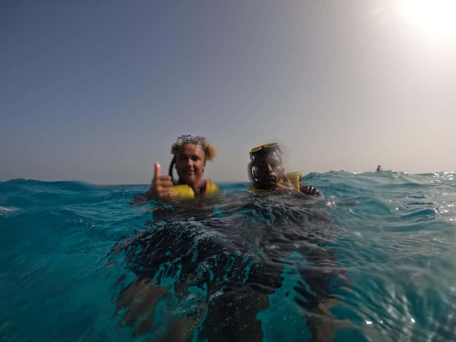 Snorkelling trip with certificate local guide - Is $50 a fair price?