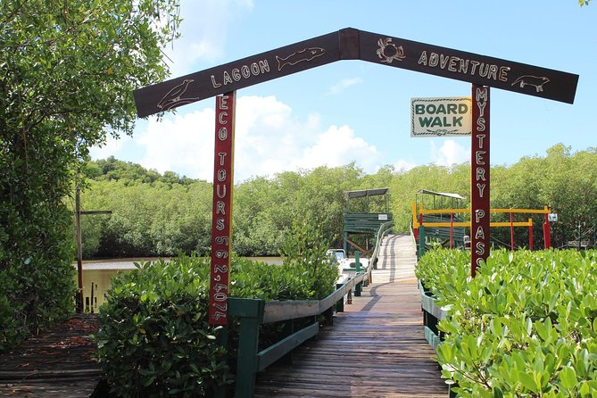 SoCoHo Eco Half Day - Mangrove Kayak & Reef Snorkeling - Practical details that make the day better