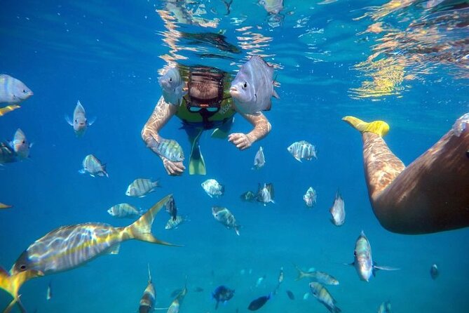 Sosua Party Boat -Snorkeling-Brunch-Drinks-Snacks-Transportation - Brunch, nachos, fruit, and an open drink selection