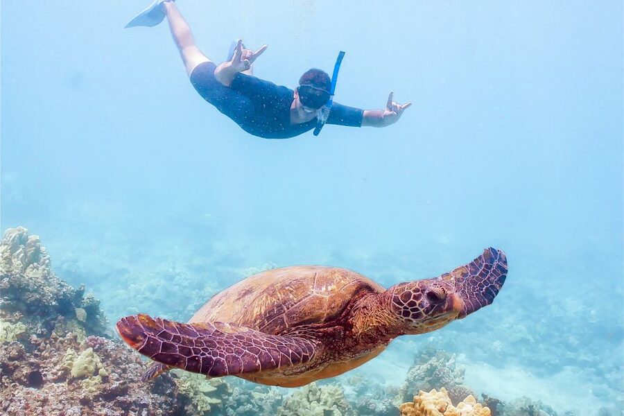 South Maui: Molokini Snorkeling Adventure - Boarding at Maalaea Harbor and settling into Calypso