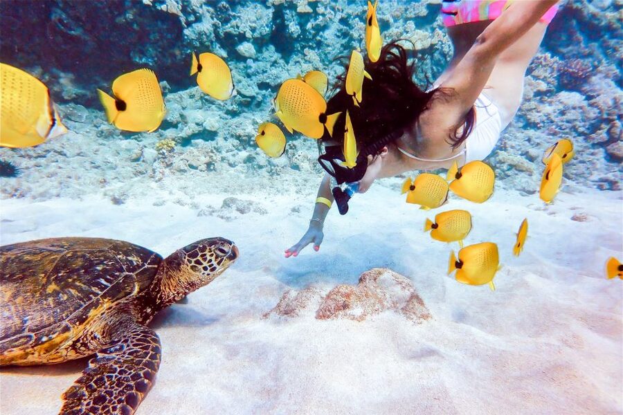 South Maui: Molokini Snorkeling Adventure - Is $185 a fair price?