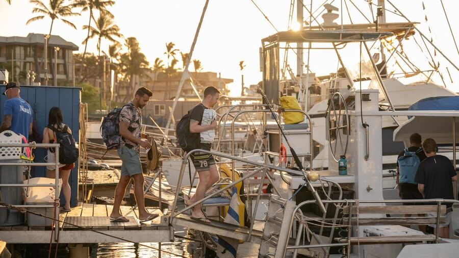 South Maui: Molokini & Turtle Town Snorkeling Tour with Meal - Quick take: what makes this trip worthwhile