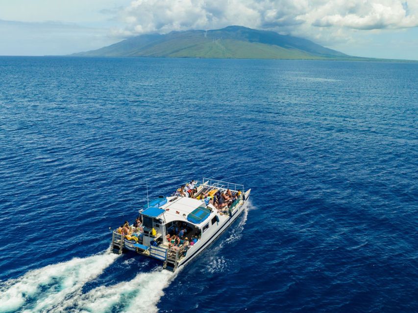 South Maui: Molokini & Turtle Town Snorkeling Tour with Meal - What the crew does especially well