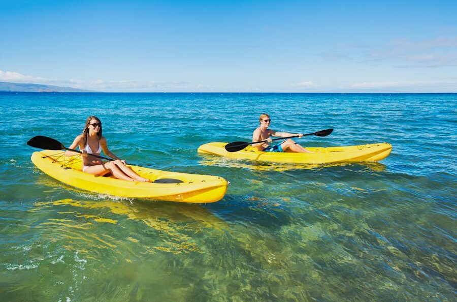 South Maui: Premium Turtle Town Kayak and Snorkel Tour - Turtle Town snorkeling at two or three sites