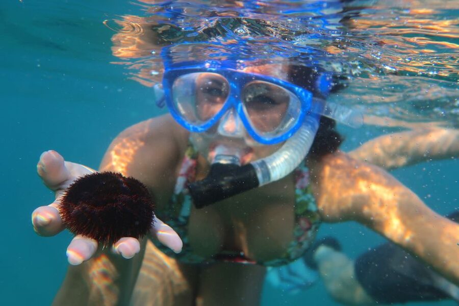 South Maui: Premium Turtle Town Kayak and Snorkel Tour - The guide is a major part of the value