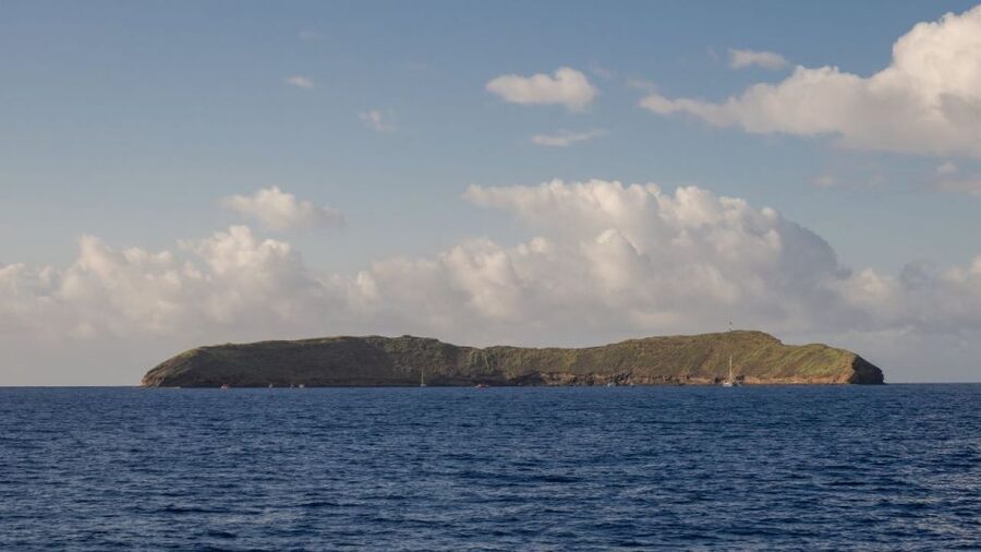 South Maui: Snorkel to Coral Gardens or Molokini Crater - Coral Gardens: a useful backup, not a consolation prize