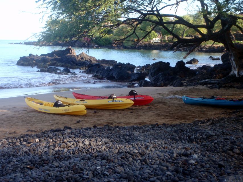 South Maui: Whale Watch Kayaking and Snorkel Tour in Kihei - Timing your booking around whale season