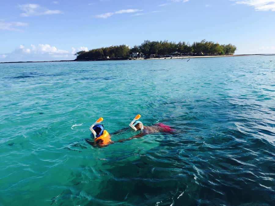 South Of Mauritius Quadbike and Snorkeling Blue Bay - Royal Palm forest brings a change of scenery