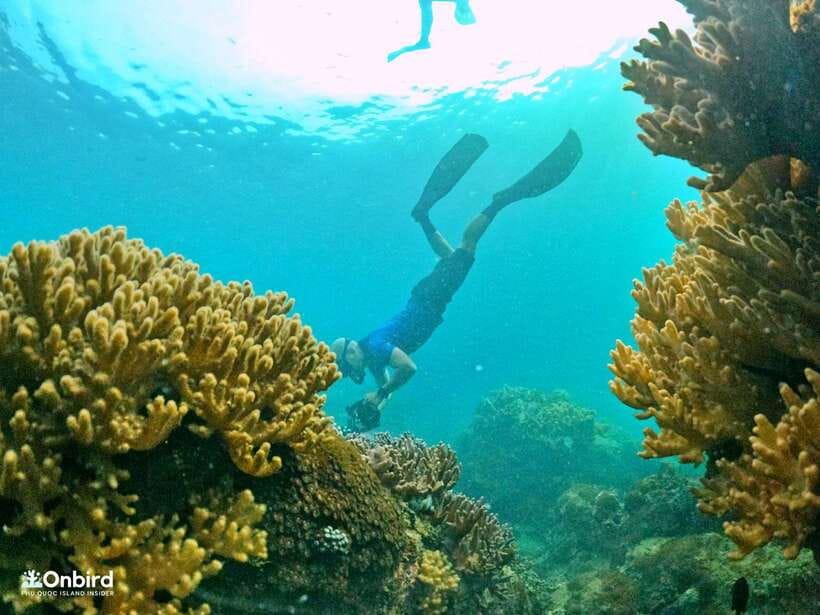 South Phu Quoc: Pro Snorkeling Tour by Speedboat - The shallow-water practice makes the trip easier