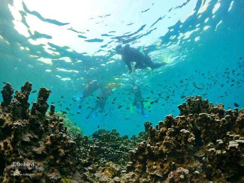 South Phu Quoc: Pro Snorkeling Tour by Speedboat - Two coral sites and up to 1.8 hours in the water