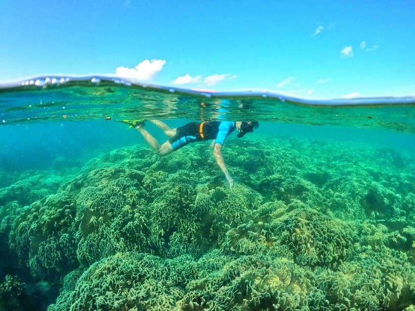 South Phu Quoc: Pro Snorkeling Tour by Speedboat - Price and what the $51 covers