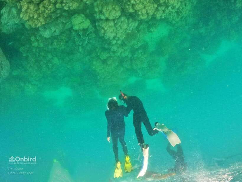 South Phu Quoc: Pro Snorkeling Tour by Speedboat - Who should book, and who should skip it