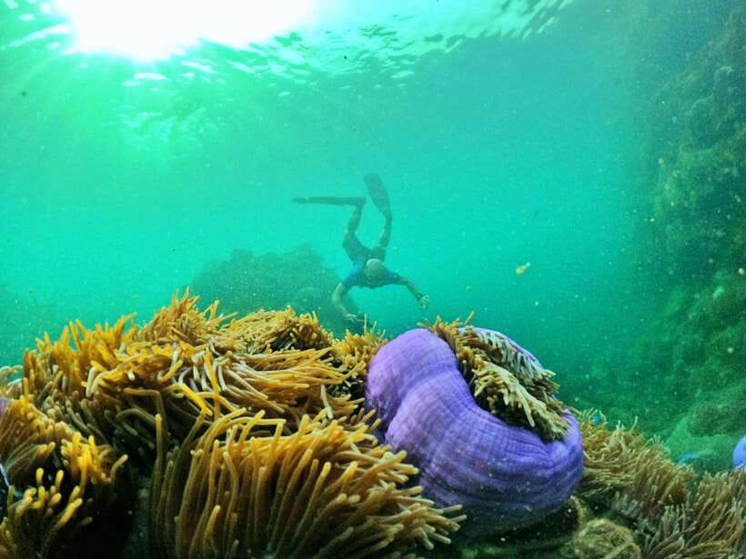 South Phu Quoc: Pro Snorkeling Tour by Speedboat - Practical tips for a better day