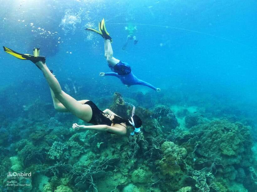 South Phu Quoc: Pro Snorkeling Tour by Speedboat - Hotel pickup and the ride south
