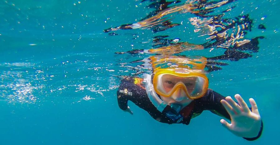 South Tenerife: Guided Snorkeling - Key points to know before booking