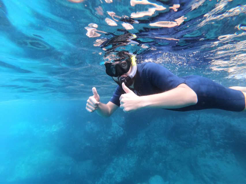 South Tenerife: Guided Snorkeling - How swimming ability changes the experience