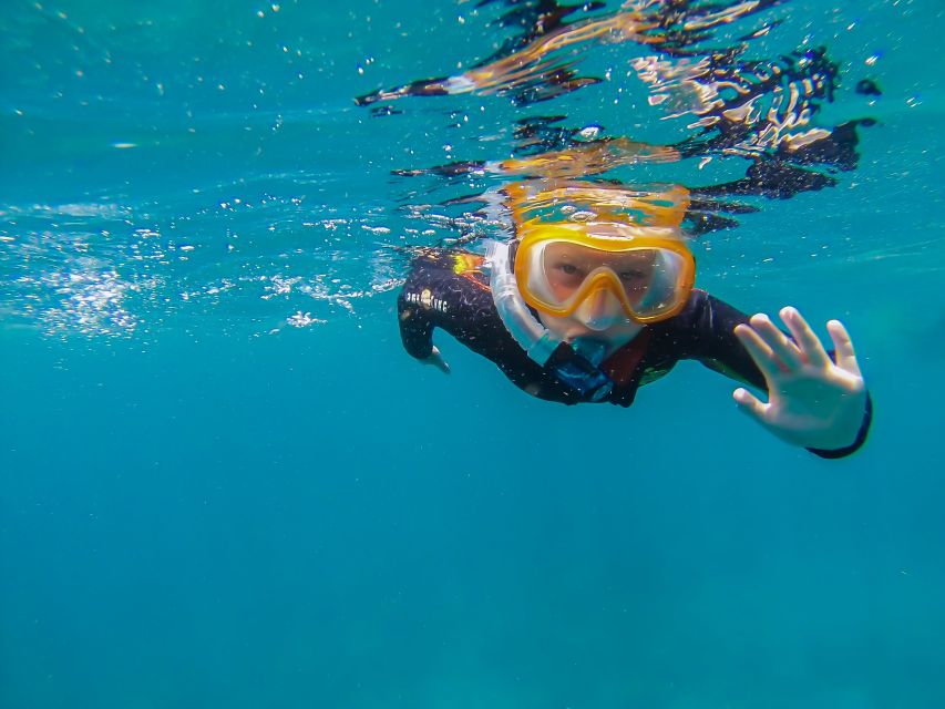 South Tenerife: Guided Snorkeling - Hotel pickup keeps the morning simple