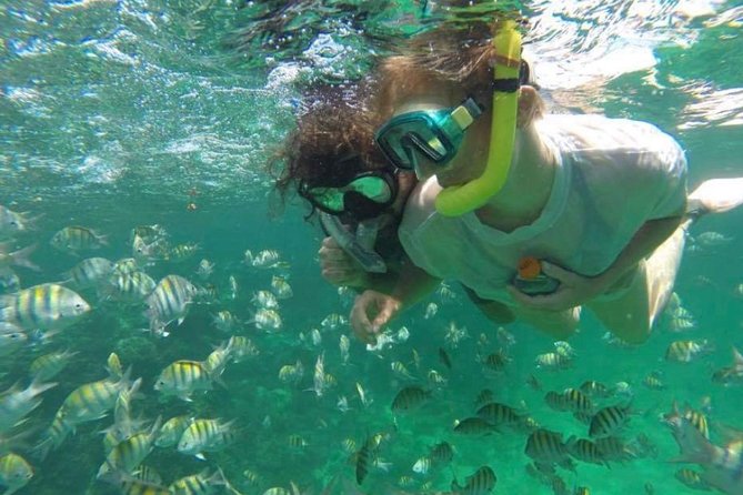 Speed Boat and Snorkeling in Punta Cana Bavaro - What the Punta Cana speedboat tour is really like