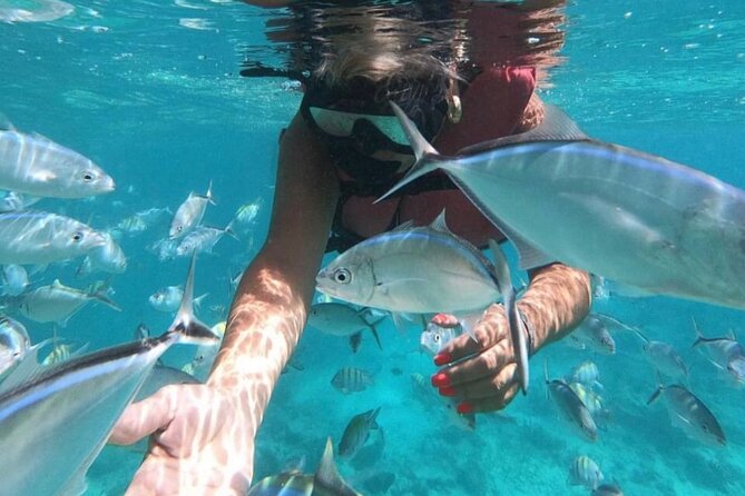 Speed Boat and Snorkeling in Punta Cana Bavaro - The natural pool and sandbar stop