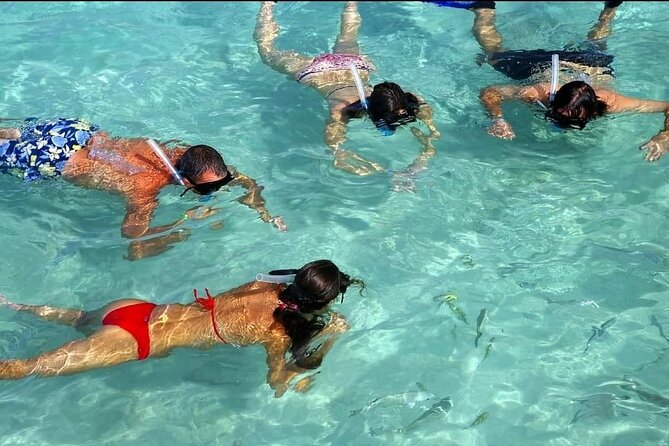 Speed Boat Ride and Snorkel Experience in Punta Cana - Transportation can save time, but confirm the meeting point