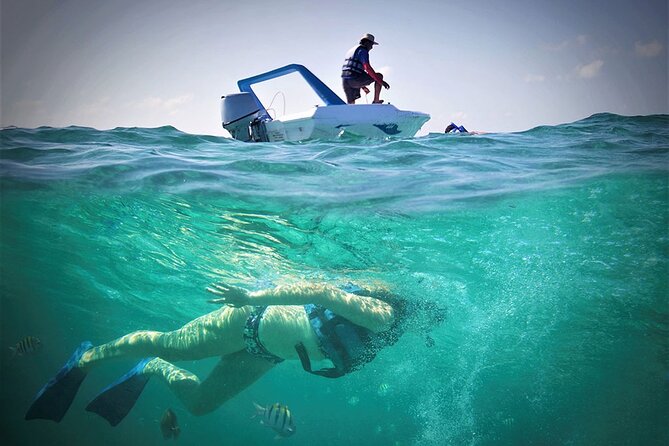 Speed Boat & Snorkel Tour with transportation ( only Cancun zone area) - What the $59.99 price really covers