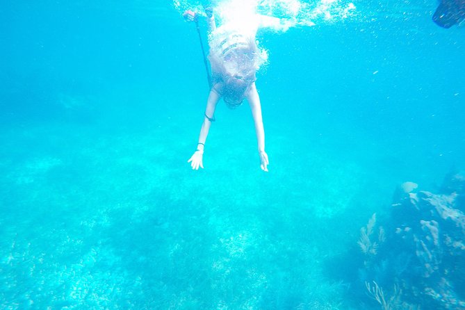 Speed Boat & Snorkel Tour with transportation ( only Cancun zone area) - Small details that can improve your day