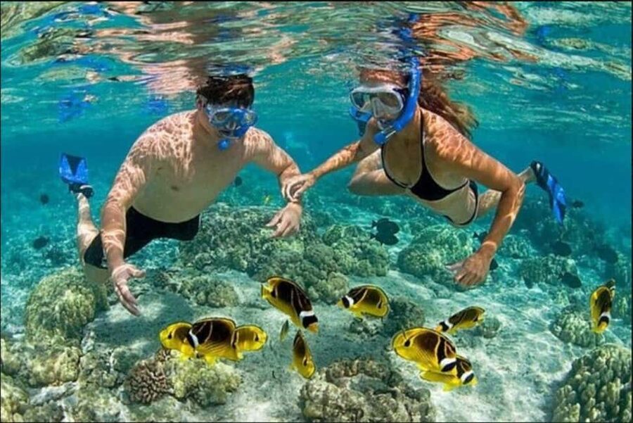 Speedboat Adventure and Snorkeling from Punta Cana - Taking the wheel on the speedboat