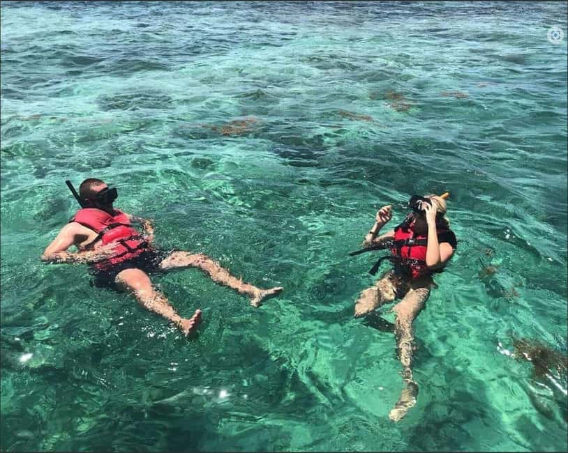 Speedboat Adventure and Snorkeling from Punta Cana - Snorkeling over the coral reef