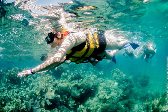 Speedboat and snorkel tour: Single Passenger Boat - What the $110 price really buys