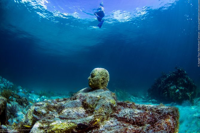 Speedboat and snorkel tour: Single Passenger Boat - Who will enjoy this most
