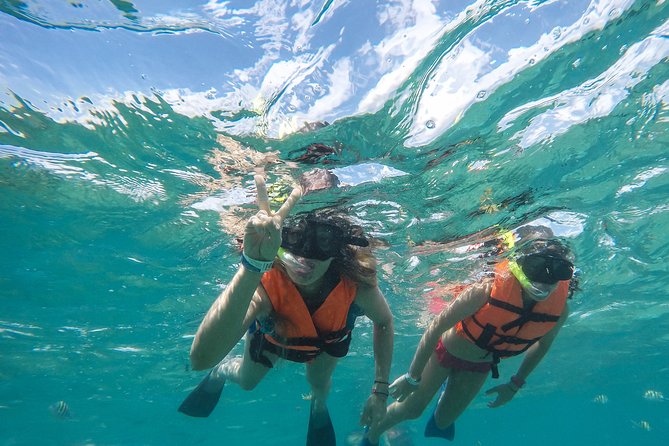 Speedboat jungle tour and snorkel - Marine life, swimming comfort, and personal assistance