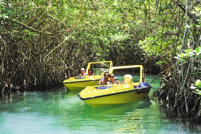 Speedboat jungle tour and snorkel - What driving your own boat is really like