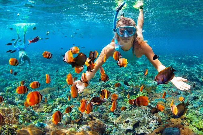 Speedboat & Snorkeling from Punta Cana - What the four-hour schedule really means