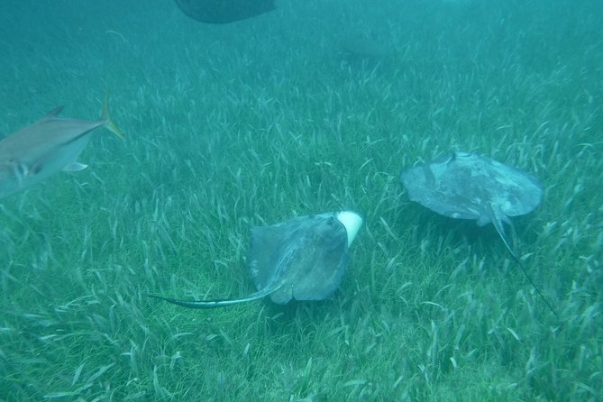 St John & Surrounding Cays - Full-Day Sail/Snorkel, 6 Guests Max - What $245 buys you