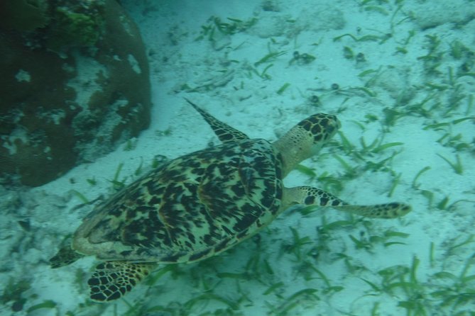 St John & Surrounding Cays - Full-Day Sail/Snorkel, 6 Guests Max - Who should book this St John sailing day?