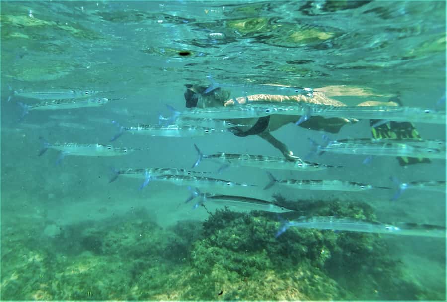 St. Lucia: Cape Vidal Snorkeling Adventure - The hour-long drive from St. Lucia to Cape Vidal
